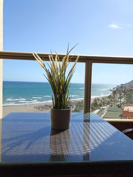 Estudio Miramarprimera Linea Playa Amazing Views Бенальмадена Экстерьер фото