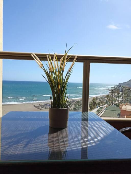 Estudio Miramarprimera Linea Playa Amazing Views Бенальмадена Экстерьер фото